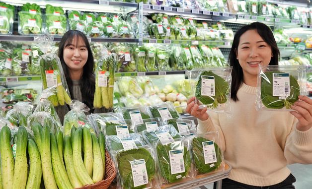 롯데마트, 스마트팜 깻잎·오이 선보여
