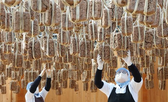 메주 익어가는 겨울