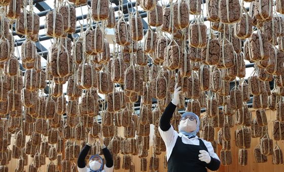 메주 익어가는 겨울