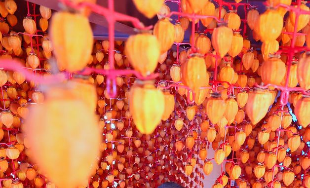 명품 함양고종시 곶감 납시오