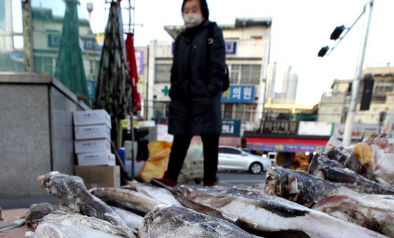 냉동고 필요 없어요