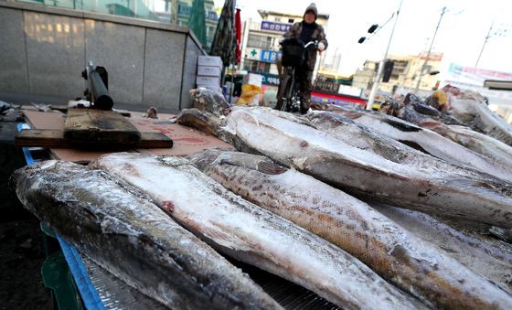 냉동고 필요 없어요