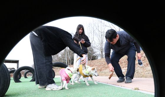 반려동물과 교감하며 배우는 교육
