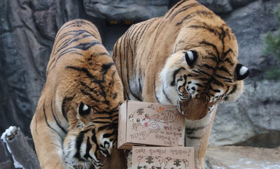 '겨울이 좋아요'