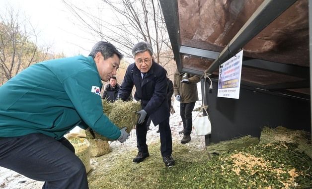 산양 먹이용 건초 급여하는 허민 국가유산청장