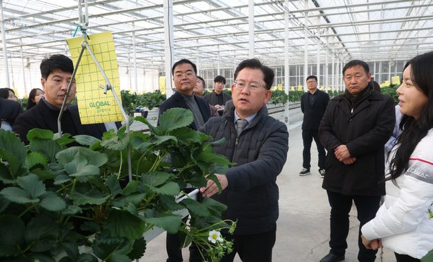 시설농장 딸기 생육 점검하는 이승돈 농촌진흥청장