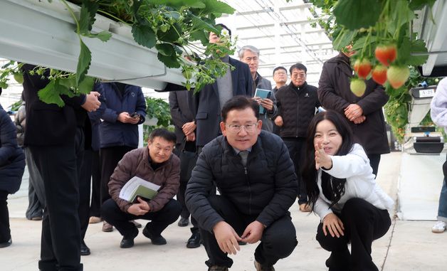 이승돈 농촌진흥청장, 시설 딸기 농장 현장점검