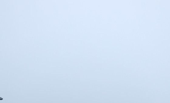 안개 속 서행하는 차량들