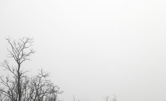 미세번지로 보이지 않는 도심 풍경