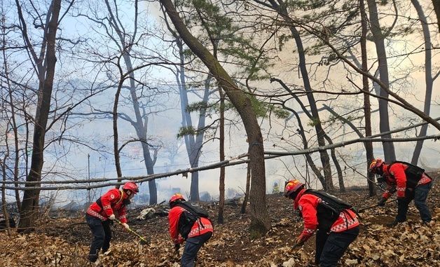 산림청 산불특수진화대 구룡마을 화재 방화선 구축