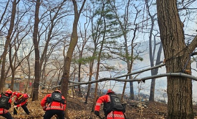 산림청 산불특수진화대 구룡마을 화재 방화선  구축 총력
