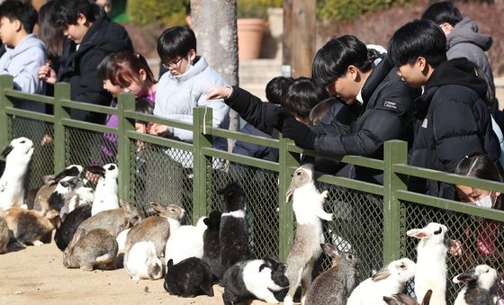 '포근한 날씨' 토끼 먹이 주기