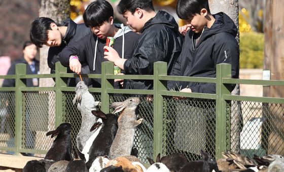 '포근한 겨울' 붐비는 테마파크