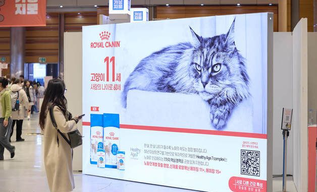 11세∙15세 반려묘, 필요한 영양은 무엇이 다를까?