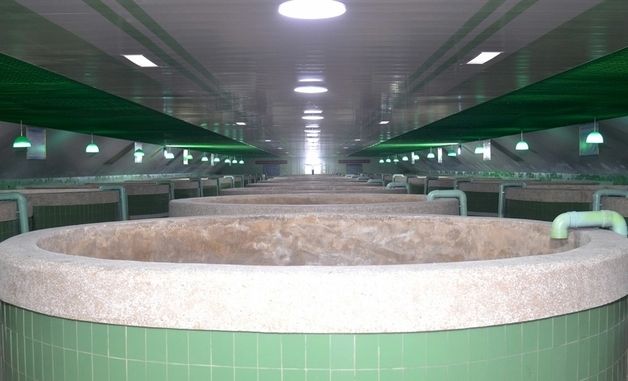 北, 청진시 '직하대 서양 연어종어장 준공식' 진행