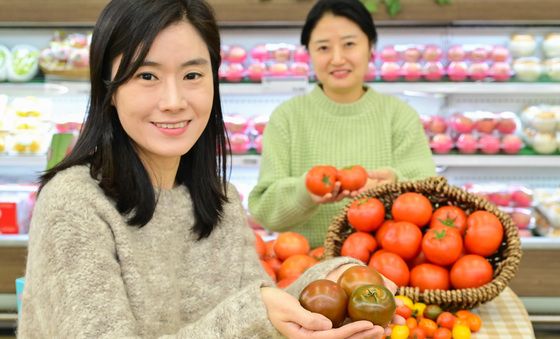 농협유통 '한겨울 면역력 슈퍼 푸드 토마토로 지키세요'