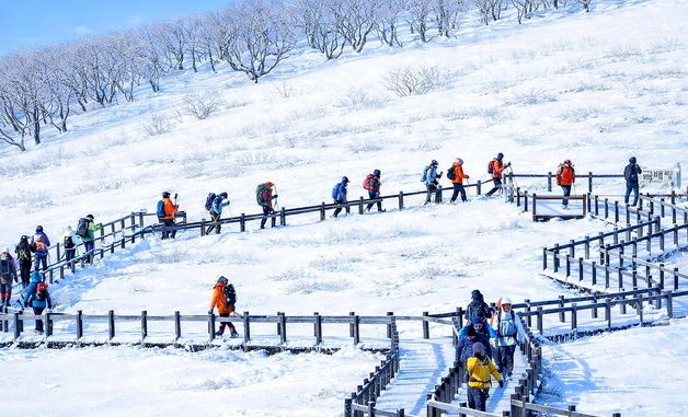 \'천상의 화원\' 인제 곰배령 겨울 트레킹