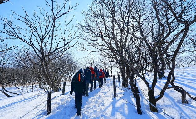 \'천상의 화원\' 인제 곰배령 겨울 트레킹