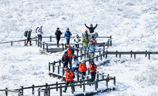 \'천상의 화원\' 인제 곰배령 겨울 트레킹