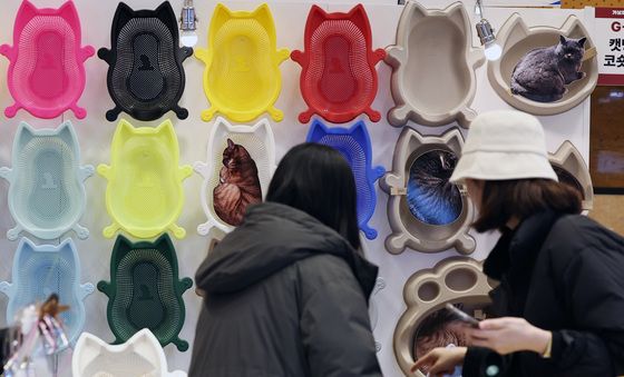 '고양이 니즈 파악'