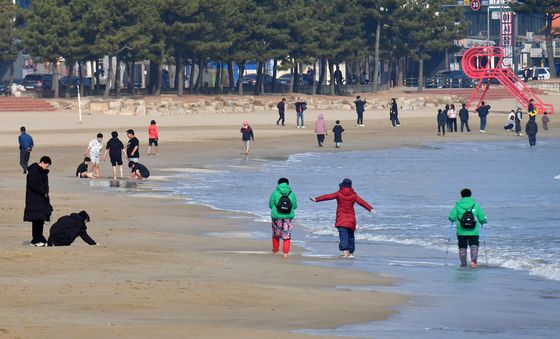 봄날 같은 겨울 오후