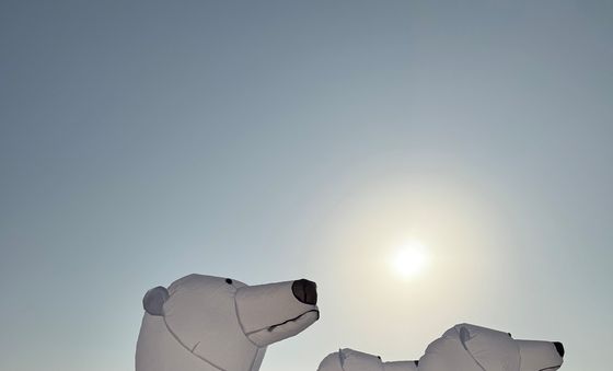 해운대에서 열린 북극곰축제