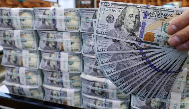 IMF의 경고…韓 환리스크 달러자산, 외환시장 규모의 25배