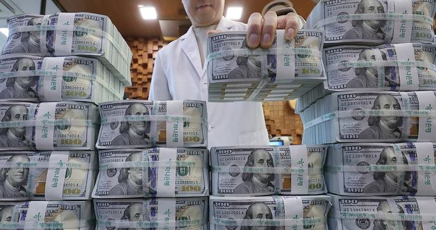 IMF의 경고…韓 환리스크 달러자산, 외환시장 규모의 25배