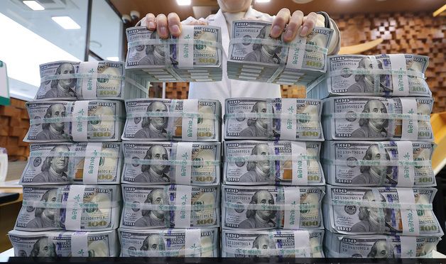 한국 환노출 달러자산, 외환시장 규모의 25배