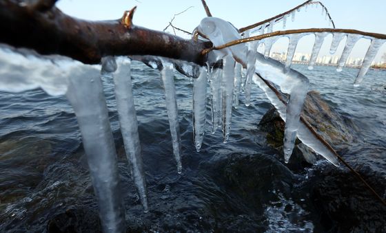 긴 겨울 한파 예보