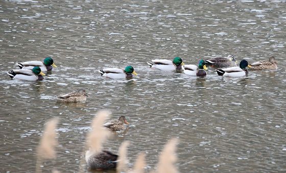 매서운 한파 찾아온다