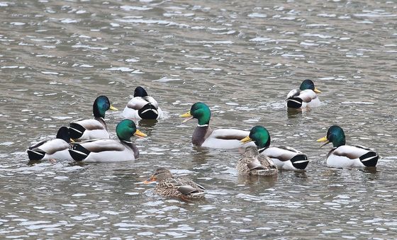 '최강 한파' 대비하세요