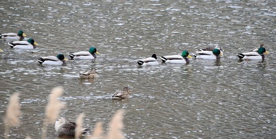 '최강 한파' 대비하세요