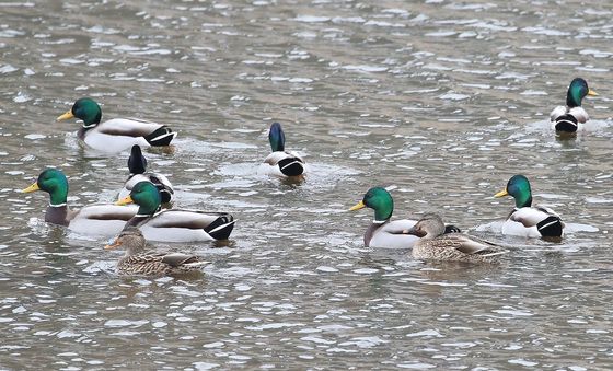 매서운 한파 찾아온다