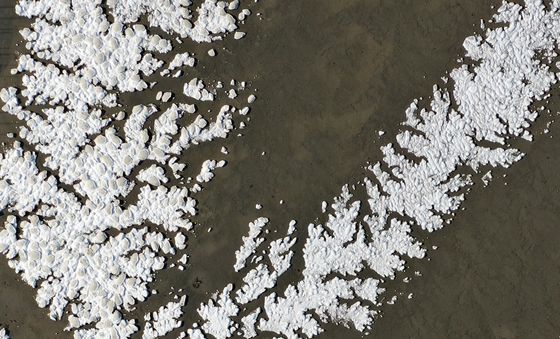 바닷물까지 얼린 최강 한파