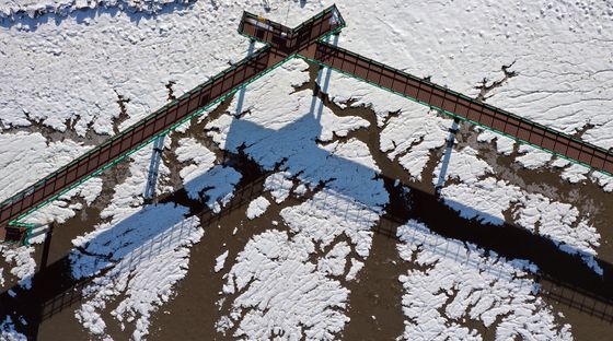 추위에 갯벌도 꽁꽁
