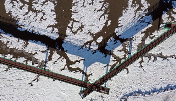 추위에 갯벌도 꽁꽁