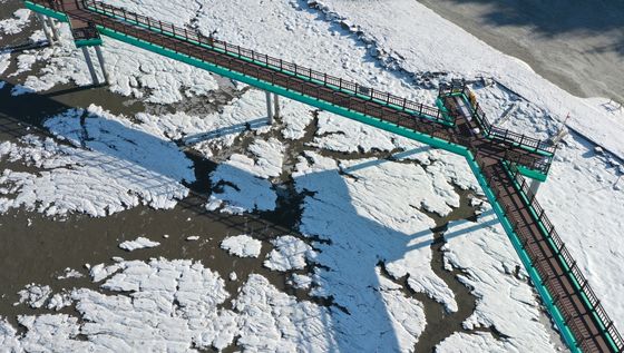 추위에 갯벌도 꽁꽁