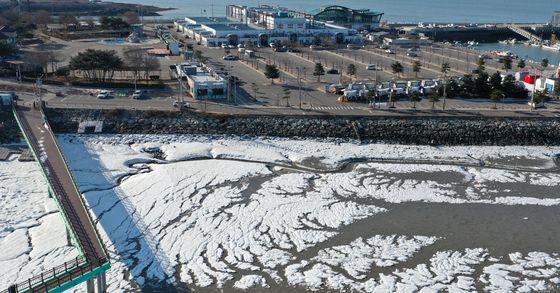 추위에 갯벌도 꽁꽁