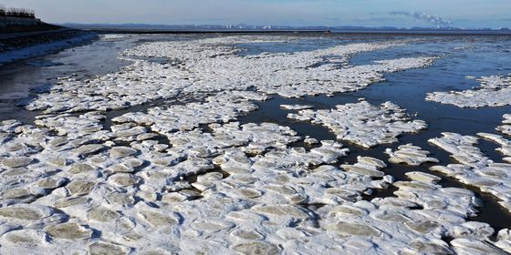 바닷물까지 얼린 최강 한파