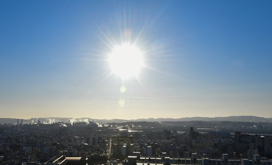 반가운 겨울 햇살