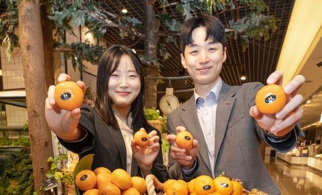 현대백화점, 고당도 감귤 'H스위트 17' 선봬