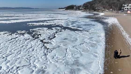 마치 북극 같네