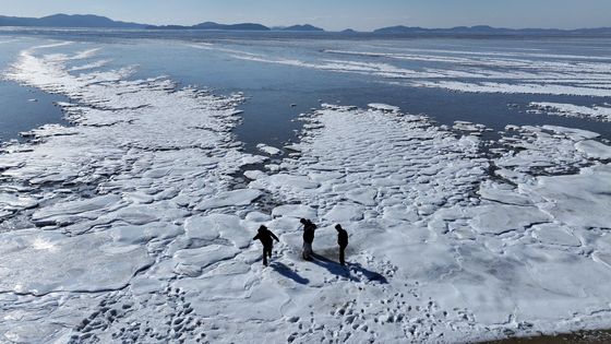 강화 동막해변에서 느끼는 북극