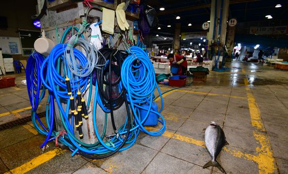 주인 기다리는 대방어