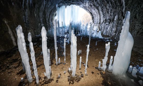 땅에서 솟아오른 역고드름···'한파가 만든 장관'