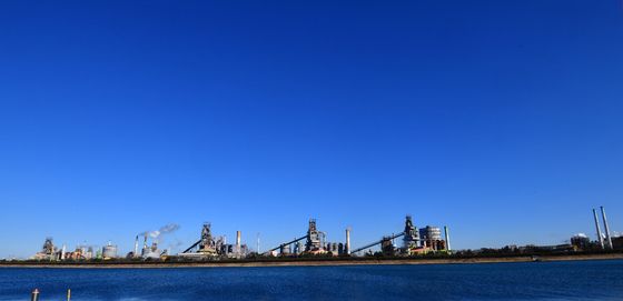 푸른 겨울이 열렸어요