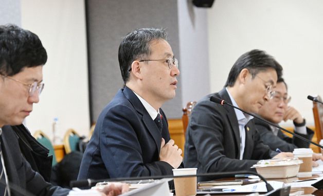 시장상황점검회의 주재하는 이형일 차관