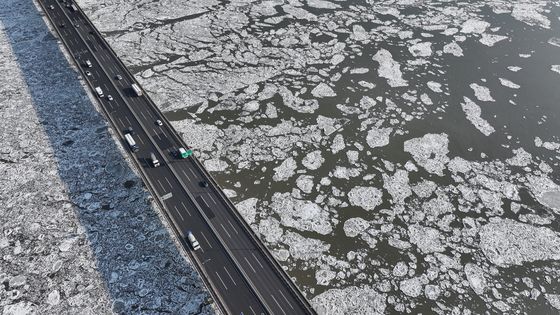 연일 이어진 최강한파…한강에 유빙 '둥둥'
