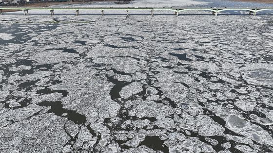 북극 풍경으로 변한 한강